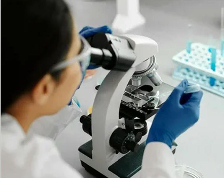 البحث العلمي